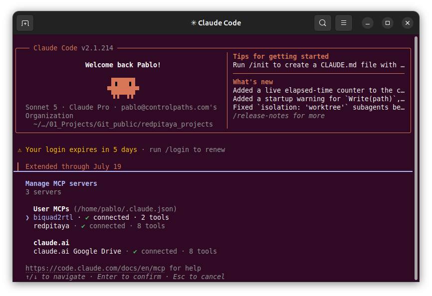 Claude Code startup screen listing three registered MCP servers: biquad2rtl, redpitaya, and Google Drive